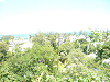 cliquez ici pour voir l'image (P1000068.jpg)