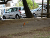 cliquez ici pour voir l'image (P1000120.jpg)