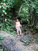 cliquez ici pour voir l'image (P1000164.jpg)